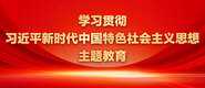 啊,操我逼逼学习贯彻习近平新时代中国特色社会主义思想主题教育_fororder_ad-371X160(2)